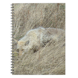 Cuaderno Coyote R13 en grano alto