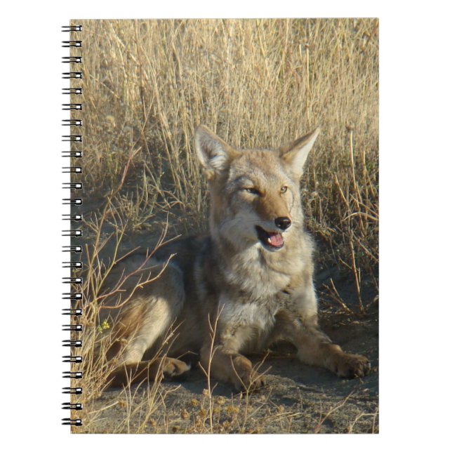 Cuaderno Coyote R18 acostado (Frente)