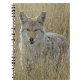 Cuaderno Coyote R2 en hierba alta