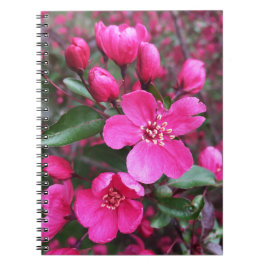 Cuaderno Crabapple de floración rosa