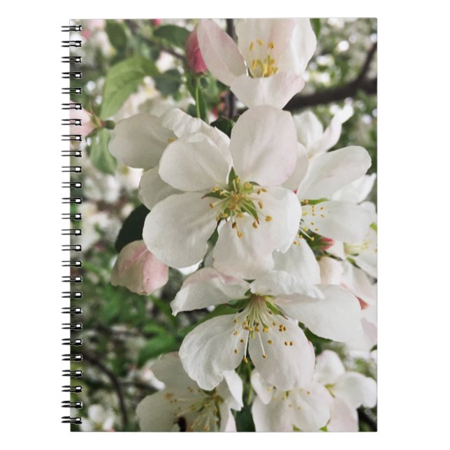 Cuaderno Crabapple floreciente (Frente)