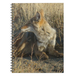 Cuaderno Cracovia de Coyote R16