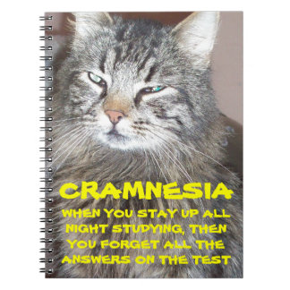 Cuaderno Cramnesia - Grumpy Crammed for the Finals