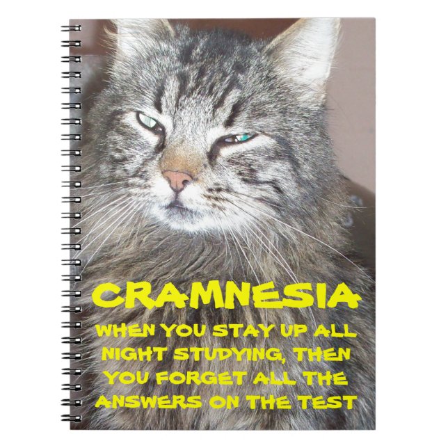 Cuaderno Cramnesia - Grumpy Crammed for the Finals (Frente)