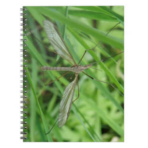 Cuaderno Crane Fly Notebook
