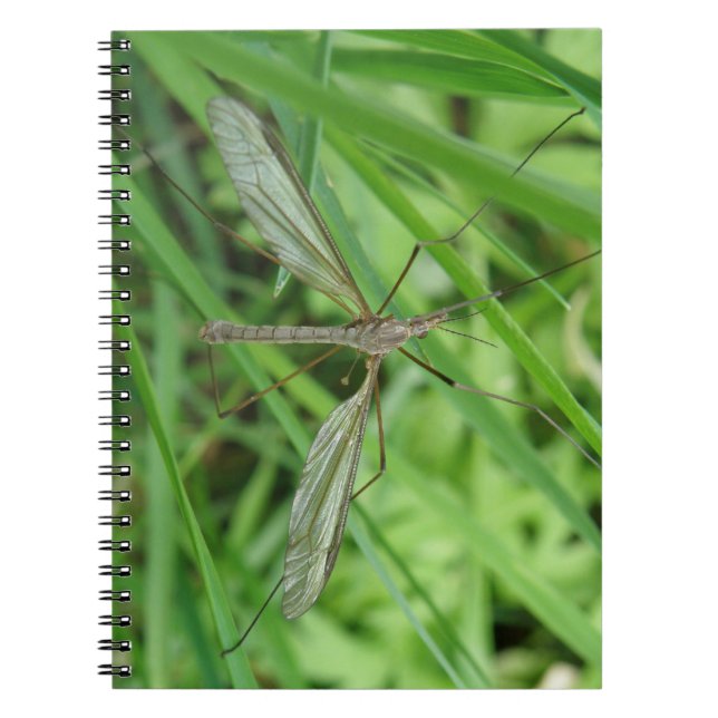 Cuaderno Crane Fly Notebook (Frente)