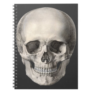 Cuaderno Cráneo de anatomía humana vintage, esqueleto de Ha