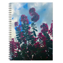 crapemyrtle en un día nublado