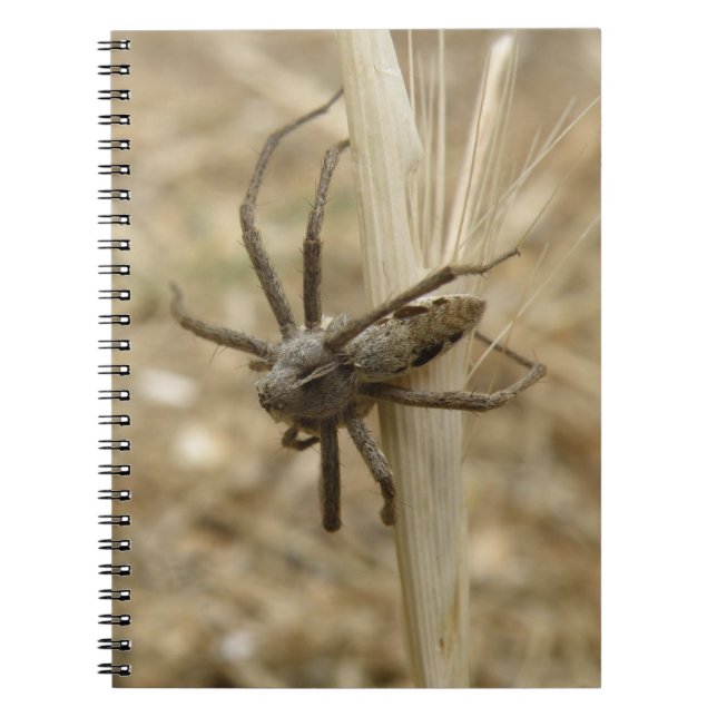 Cuaderno Crawly Spider Notebook (Frente)