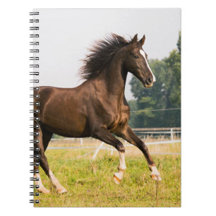 Cuaderno Crea tu propia foto de caballo de mascota personal