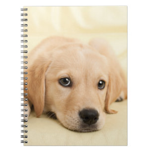 Cuaderno Crea tu propia foto de mascota personalizada
