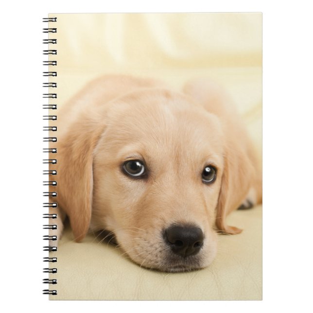 Cuaderno Crea tu propia foto de mascota personalizada (Frente)