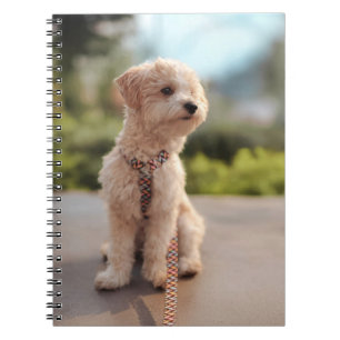 Cuaderno Crea tu propia foto personalizada de tu mascota