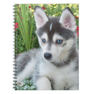 Cuaderno Crea tu propia foto personalizada de tu mascota