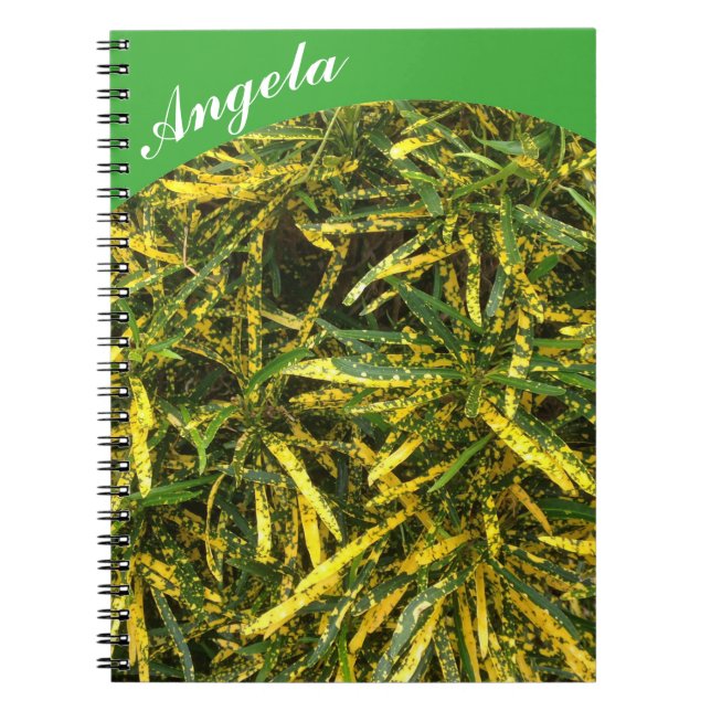 Cuaderno Crea tu propio portátil - verde (Frente)