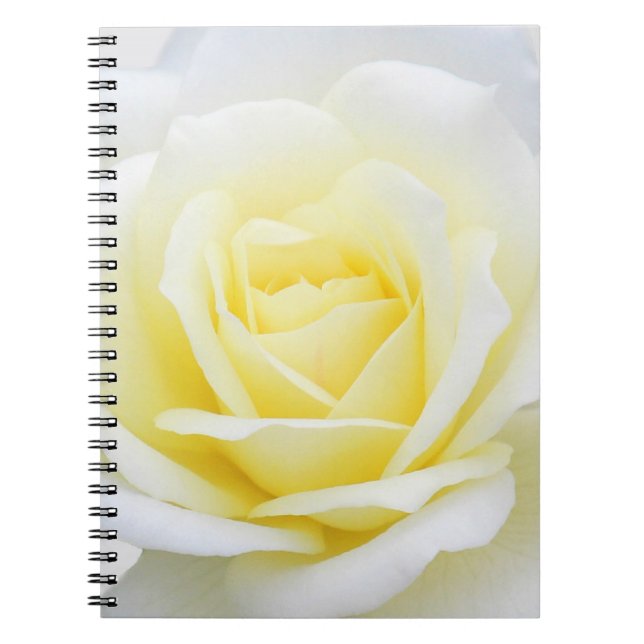 Cuaderno Creamy rosa (Frente)