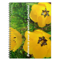 Cree En Su Mayor Potencial.