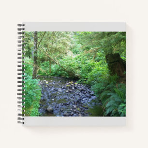 Cuaderno Creek de Cabo Perpetua, Oregón
