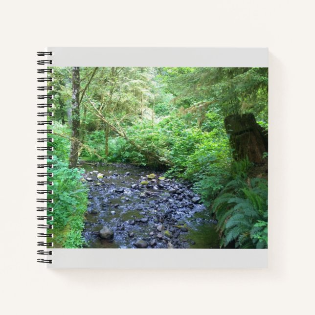 Cuaderno Creek de Cabo Perpetua, Oregón (Anverso)