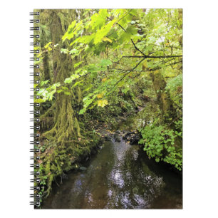 Cuaderno Creek de Corral, Oregón