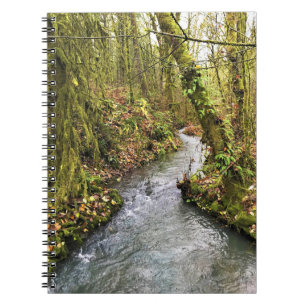 Cuaderno Creek de Corral, Oregón