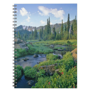 Cuaderno Creek de picnic en la cuenca del cisne