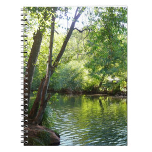 Cuaderno Creek de roble I en Sedona Arizona