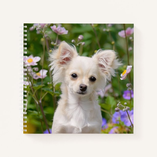 Cuaderno Crema de pelo largo, chihuahua Perro cachorro Masc (Anverso)