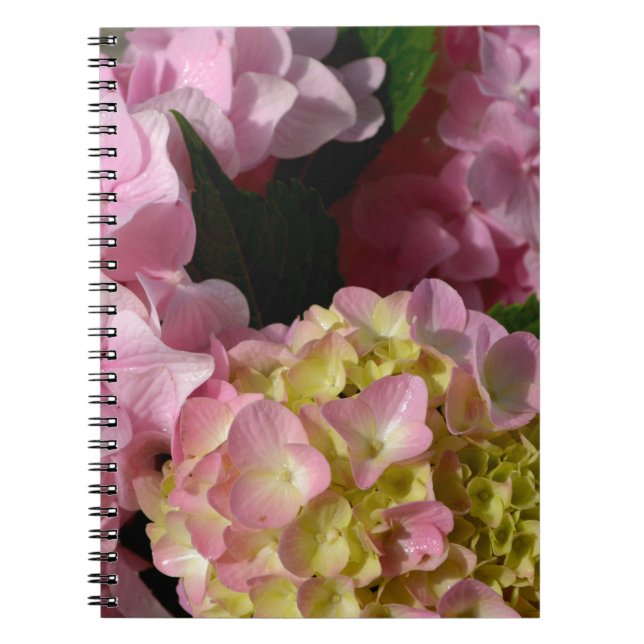 Cuaderno Crema rosa Hydrangeas amarillo rosa verde floral (Frente)