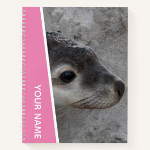 Cuaderno Cría de León Marino Cara de Bebé Primer Plano Aust
