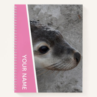 Cuaderno Cría de León Marino Cara de Bebé Primer Plano Aust