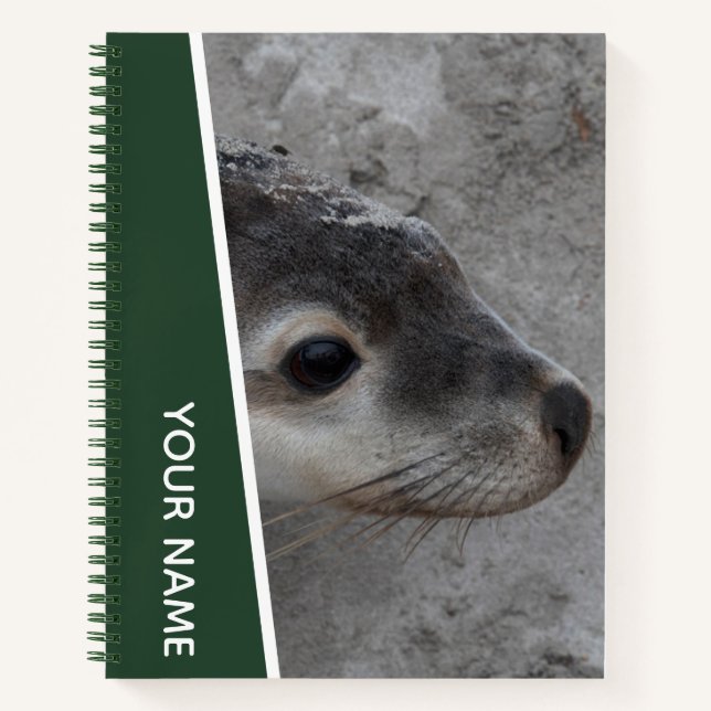 Cuaderno Cría de León Marino Cara de Bebé Primer Plano Aust (Anverso)