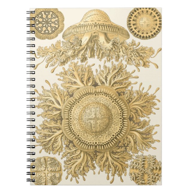Cuaderno Criaturas del Mar de Oro (Frente)
