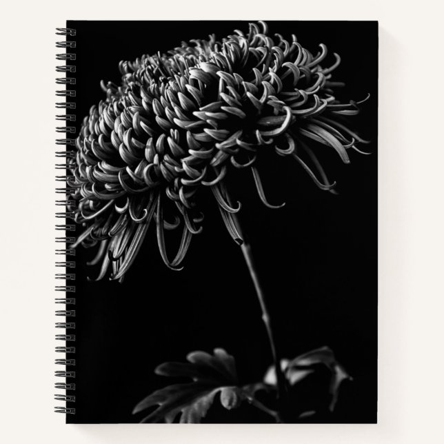 Cuaderno Crisantemo (Anverso)