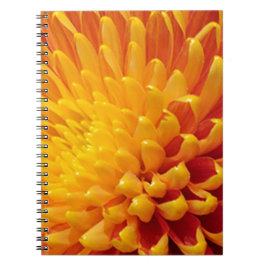 Cuaderno Crisantemo amarillo y Naranja
