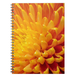 Cuaderno Crisantemo amarillo y Naranja