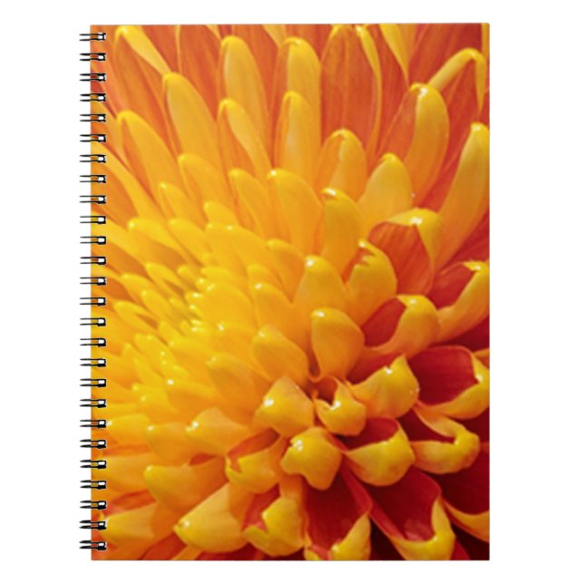 Cuaderno Crisantemo amarillo y Naranja (Frente)