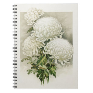 Cuaderno Crisantemo - Botánica Vintage elegante