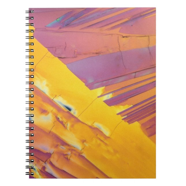 Cuaderno Cristales del ácido oxálico (Frente)