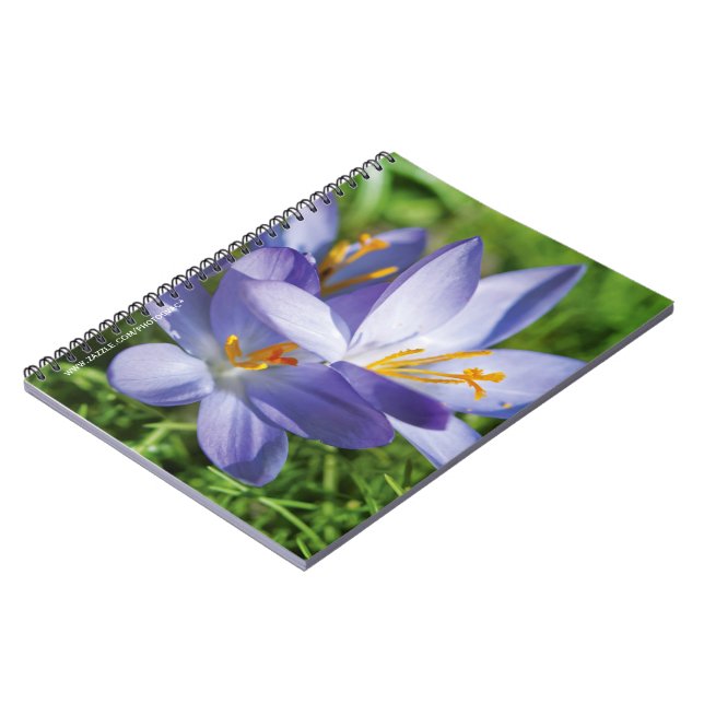 Cuaderno Crocus (Lado Izquierdo)