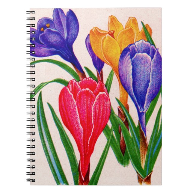 Cuaderno crocus primaveral (Frente)