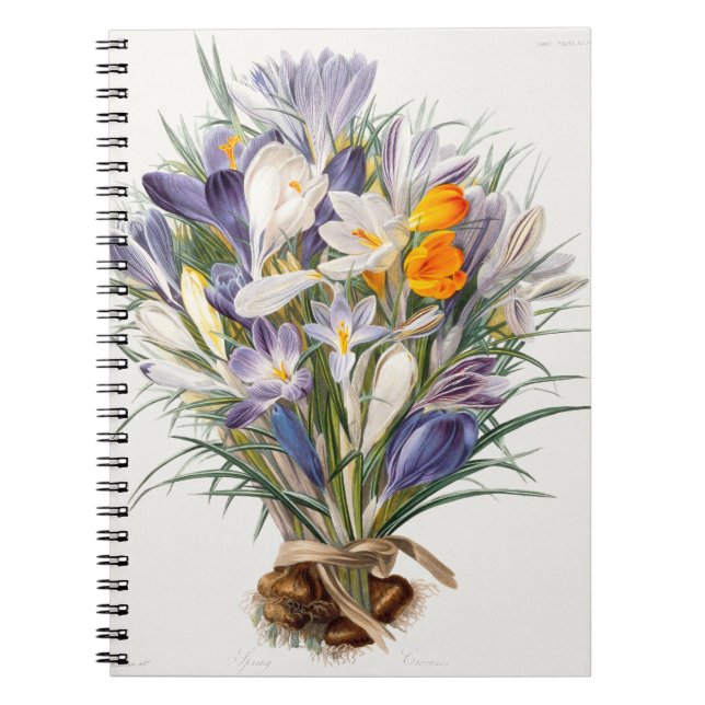 Cuaderno Crocus Spring Flower Botanical Floral Art (Frente)