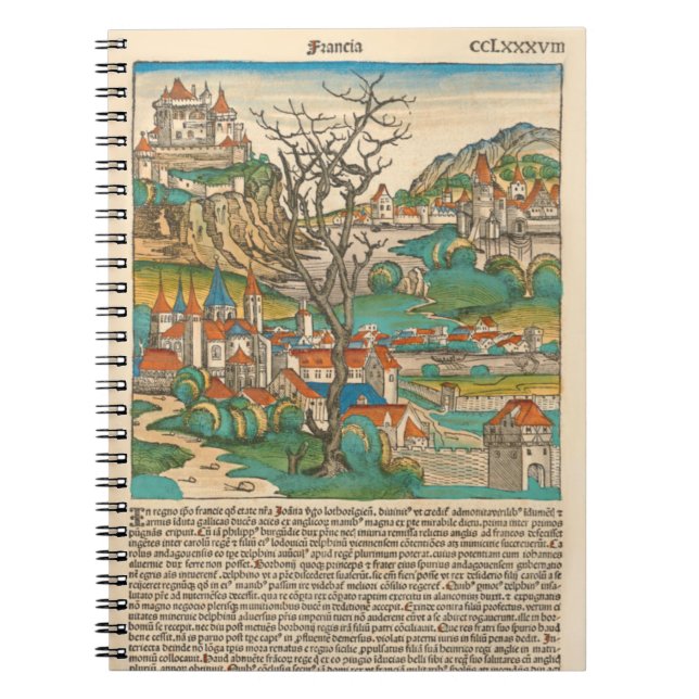 Cuaderno Crónica francesa de Nuremberg 1493 Libro medieval  (Frente)