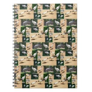 Cuaderno Crónicas de Bin Chicken: Un Collage de fotos del I