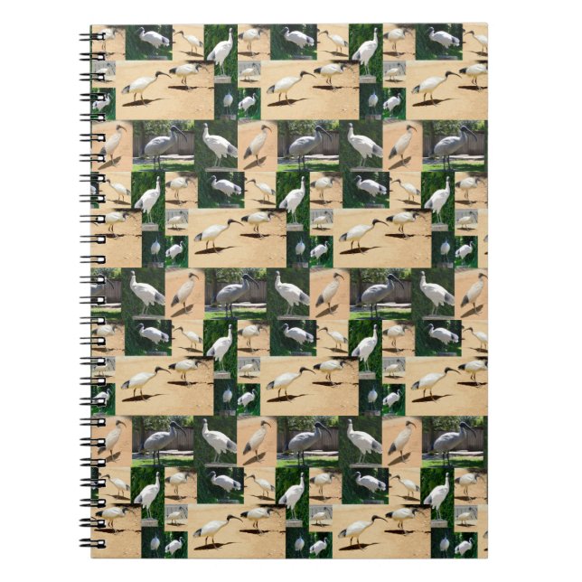 Cuaderno Crónicas de Bin Chicken: Un Collage de fotos del I (Frente)