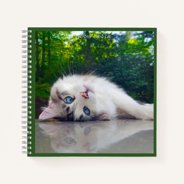 Cuaderno Cross-eyed cat (Anverso)