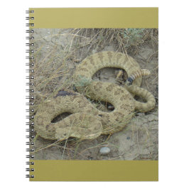 Cuaderno Crótalo de la pradera R20 herido