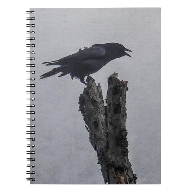 Cuaderno Crow (Frente)