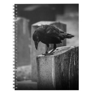 Cuaderno Crow en el cementerio caído
