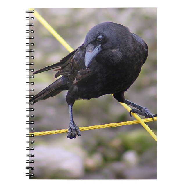 Cuaderno Crow en la encrucijada (Frente)